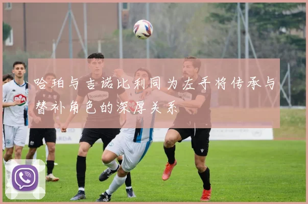 哈珀与吉诺比利同为左手将传承与替补角色的深厚关系
